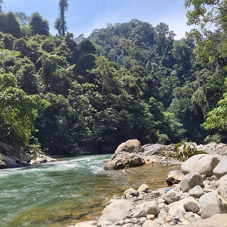 Lucky Bamboo'Bungalows-Resto And Orangutan Jungle Trekking Tours Bukit Lawang Exterior foto