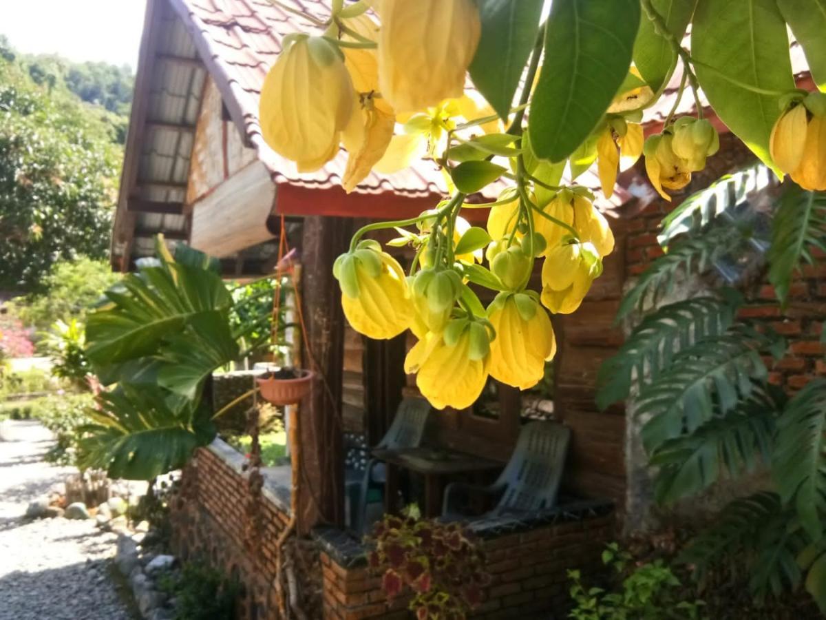 Lucky Bamboo'Bungalows-Resto And Orangutan Jungle Trekking Tours Bukit Lawang Exterior foto