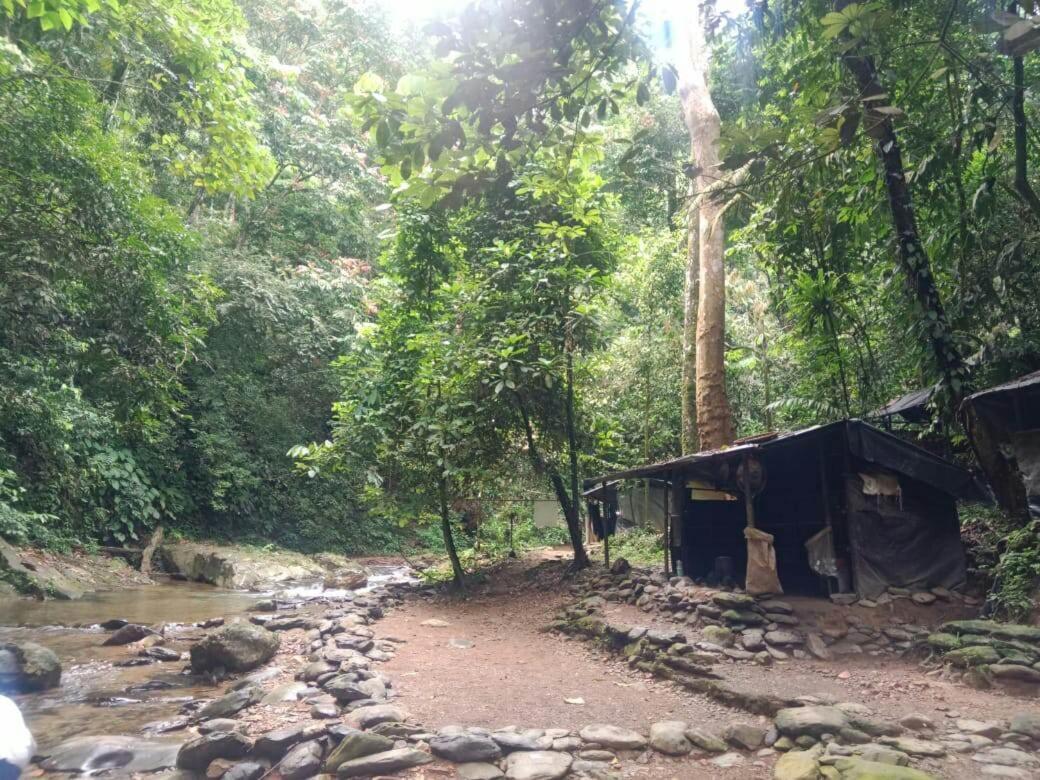 Lucky Bamboo'Bungalows-Resto And Orangutan Jungle Trekking Tours Bukit Lawang Exterior foto