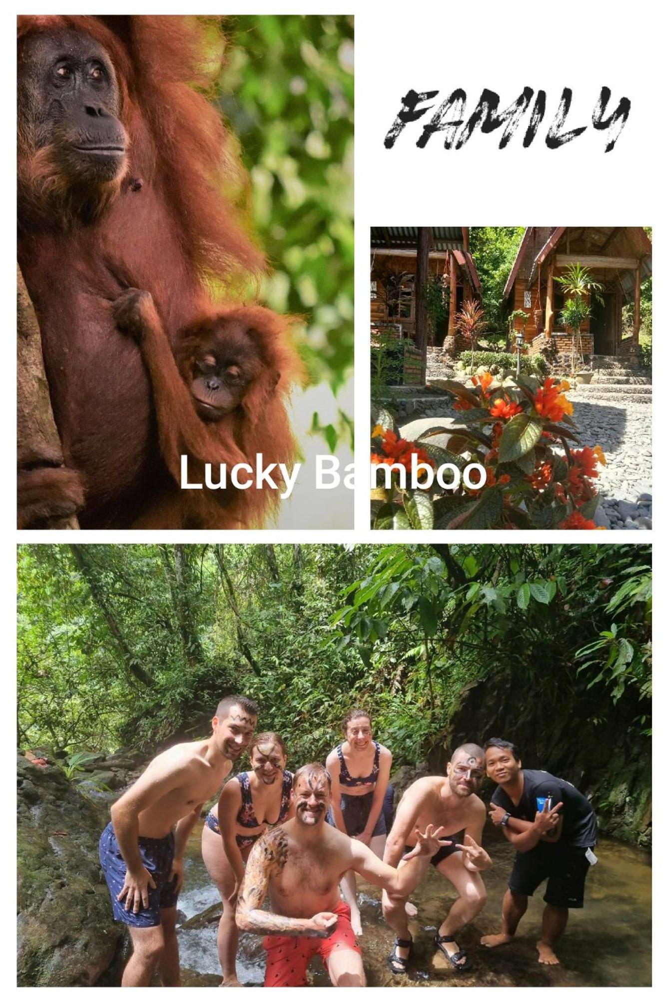 Lucky Bamboo'Bungalows-Resto And Orangutan Jungle Trekking Tours Bukit Lawang Exterior foto