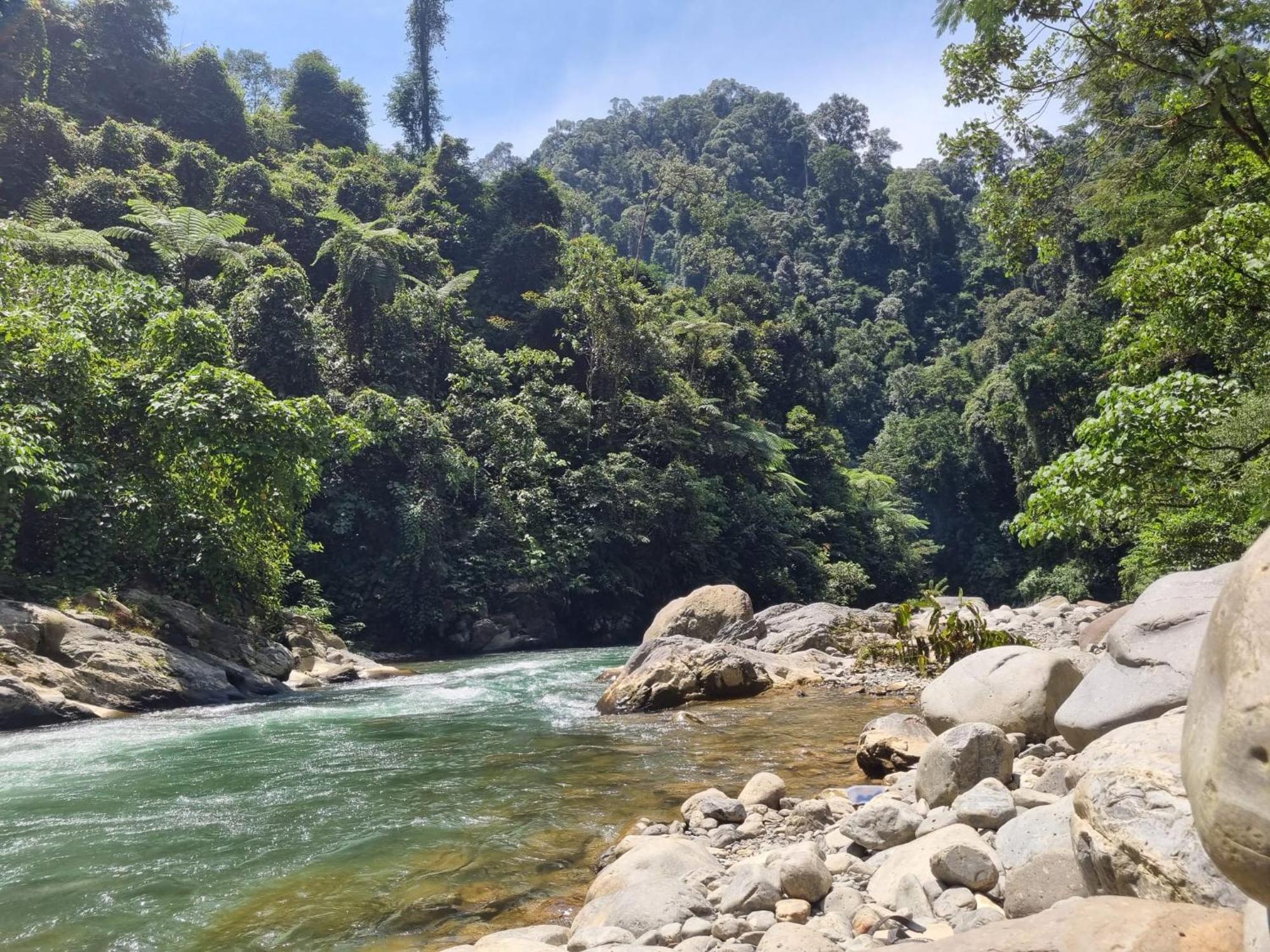 Lucky Bamboo'Bungalows-Resto And Orangutan Jungle Trekking Tours Bukit Lawang Exterior foto