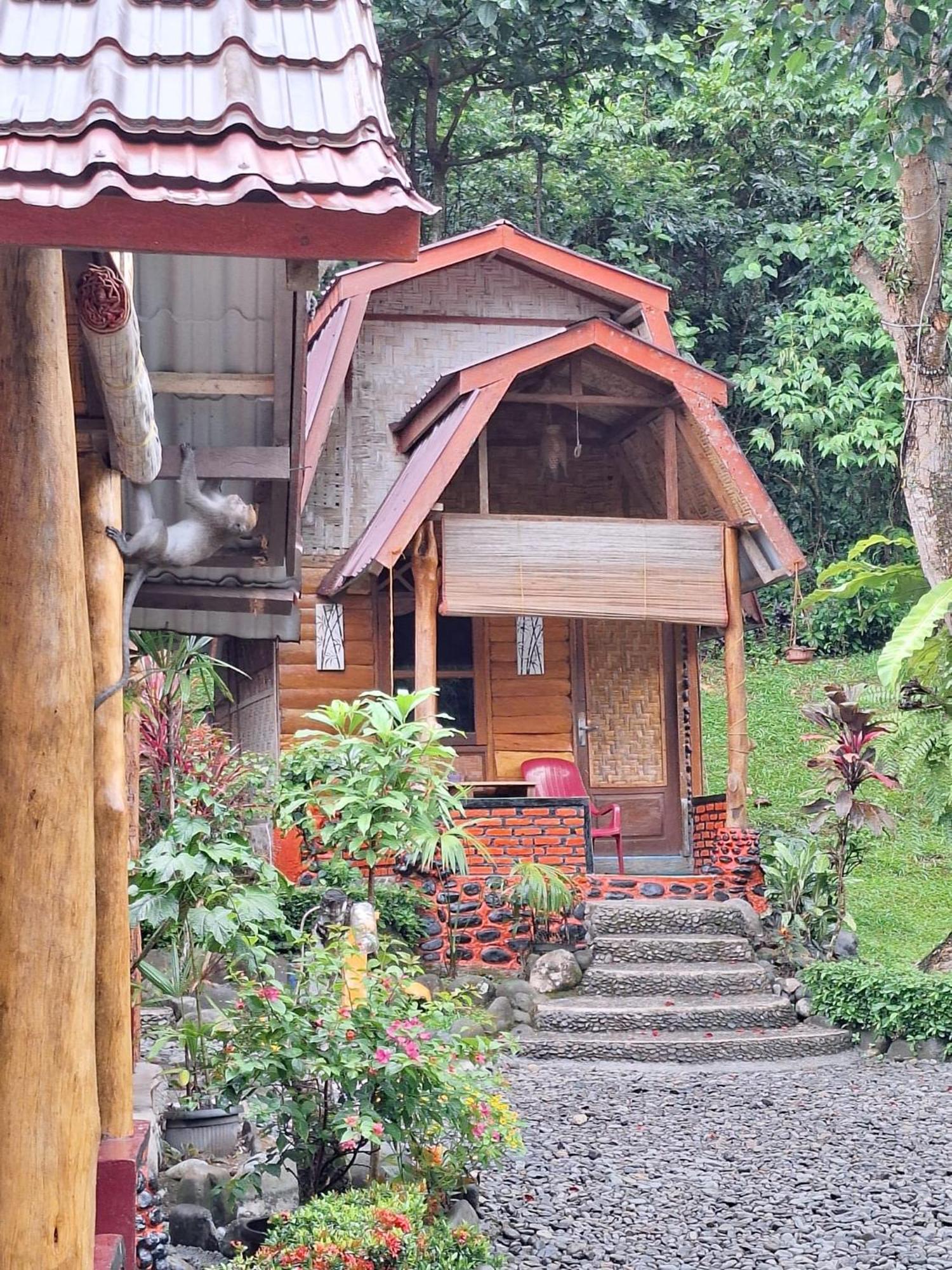 Lucky Bamboo'Bungalows-Resto And Orangutan Jungle Trekking Tours Bukit Lawang Exterior foto